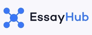 write my discussion post by essayhub